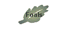 Foals