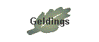 Geldings