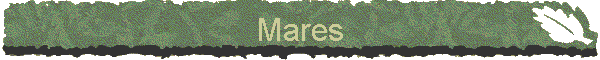Mares