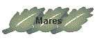 Mares