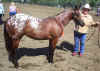 phoebe1stgrandcasnerranch.jpg (28905 bytes)
