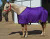 sandeepurpleblanket3small.jpg (25140 bytes)