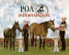 skyrockgingerlady&foalInt'lpic.jpg (40547 bytes)