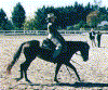 web_JMsteeWP1stshow.gif (58882 bytes)