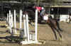 jackbigjump09.JPG (106429 bytes)