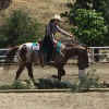joejoe ranch horse trail.jpg (99771 bytes)