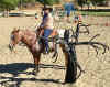 joejoehalloweenranchhorse1.jpg (167799 bytes)
