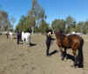 kaylapennyhalterlineup2010futuritysamll.JPG (43752 bytes)